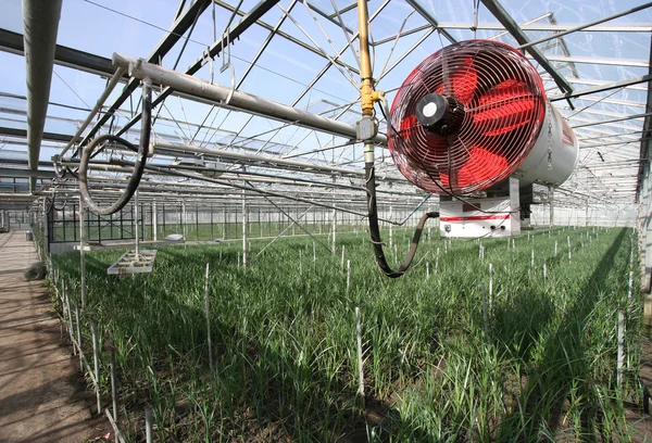 Heater in a Greenhouse — Stock Photo, Image