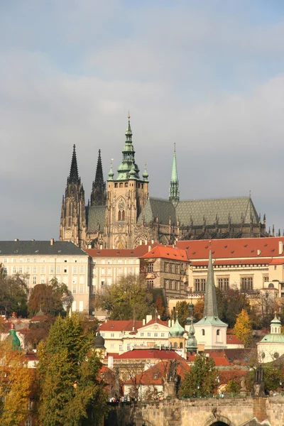 Prag-katedralen — Stockfoto