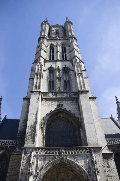 St bavo-katedralen i Gent — Stockfoto