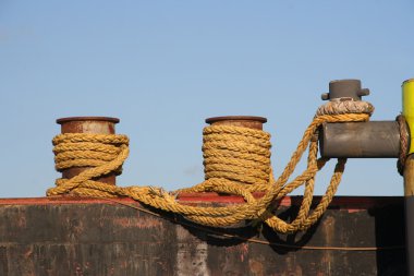 Harbor halatlar