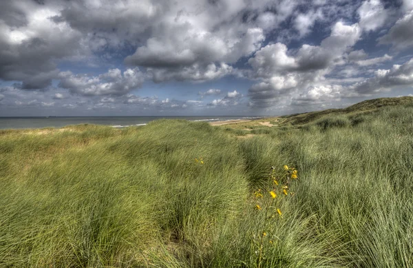 沙丘在荷兰 — 图库照片