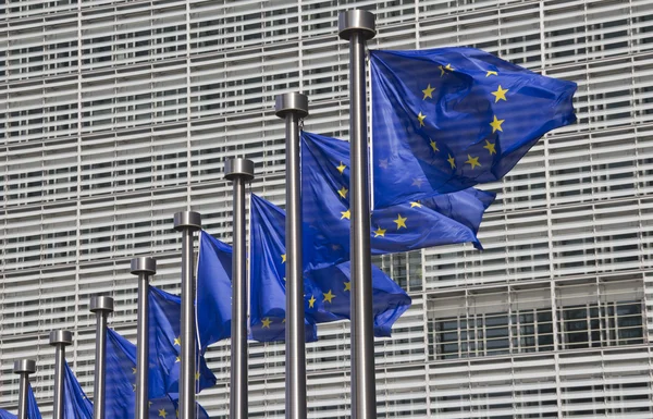 European Union Flags in Brussels — Stock Photo, Image