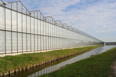Greenhouse in Holland clipart
