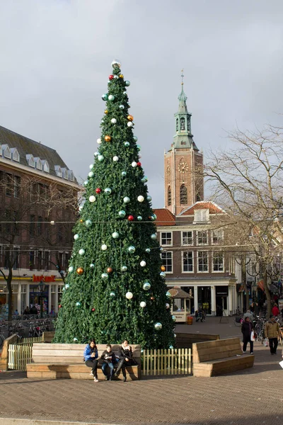 Den Haag December 2010 Kerstboom Een Dorpsplein Den Haag December — Stockfoto