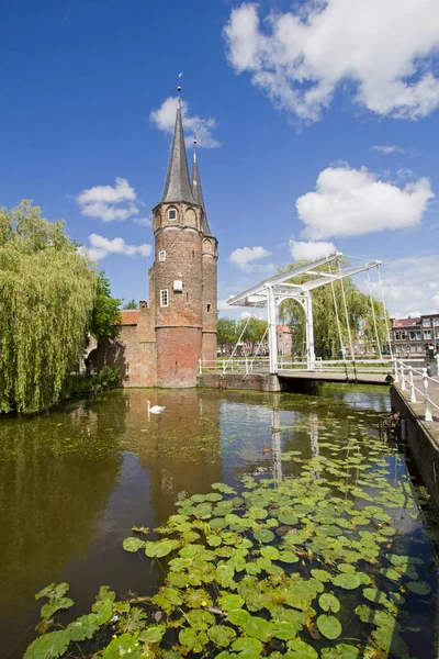 位于荷兰代尔夫特历史中心的奥斯特普尔特门和拔桥 — 图库照片