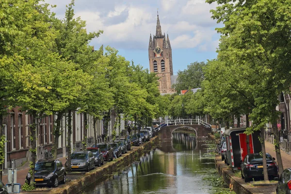 Hollanda, Delft 'te tarihi bir kanal boyunca kilise kulesi, ağaçlar ve köprü.