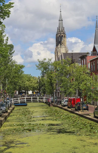 Templom Torony Fák Híd Egy Történelmi Csatornán Keresztül Delftben Hollandiában — Stock Fotó