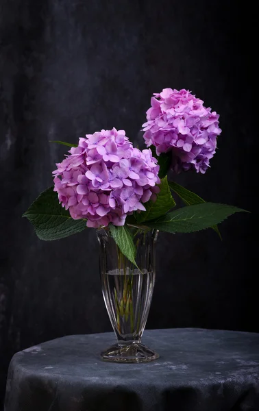 Flores de hortensia en jarrón de vidrio — Foto de Stock
