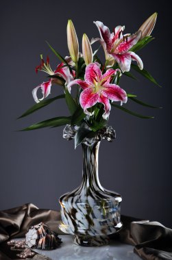 pembe lily çiçek