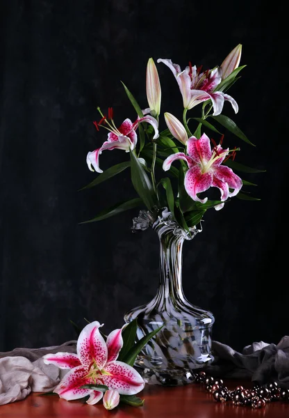 Pink Lily Flowers — Stock Photo, Image