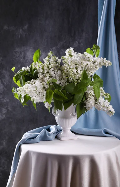 White lilac — Stock Photo, Image