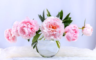 güzel pembe peonies