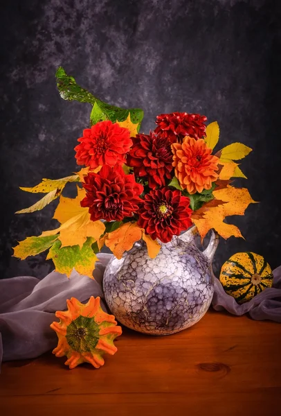 Höst Krysantemum blommor — Stockfoto