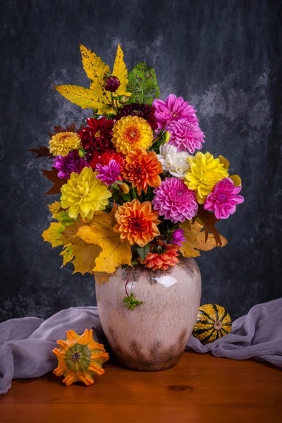 Sonbahar Kasımpatı çiçekleri — Stok fotoğraf
