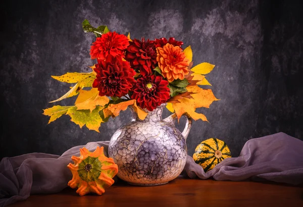 Autumn chrysanthemum flowers — Stock Photo, Image