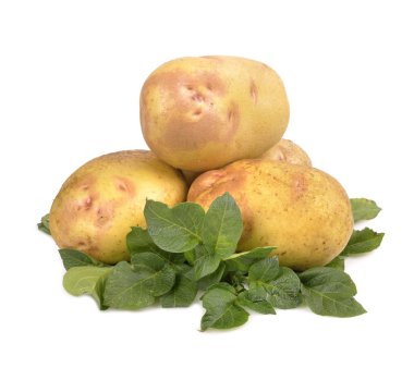 Patates.