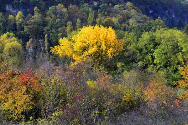 Herbstliche Landschaft — Stockfoto