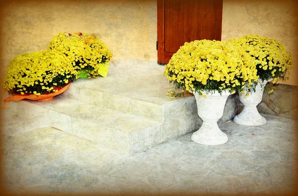 Input staircase with yellow flowers vases — Stock Photo, Image