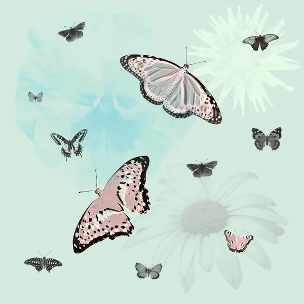 Vlinders — Stockfoto