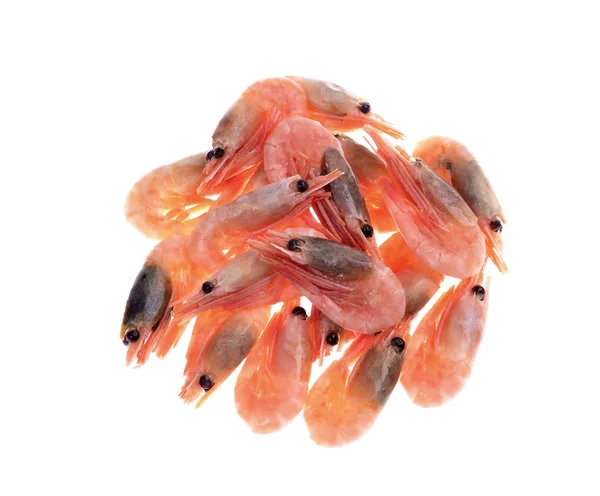 Frozen raw shrimp — Stock Photo, Image