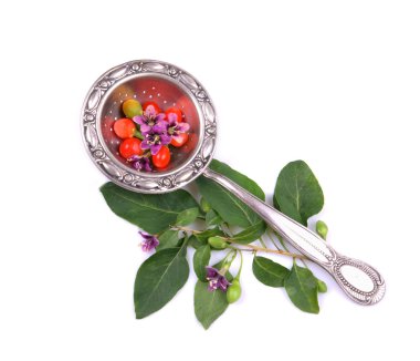 Tibet goji Karpuzu