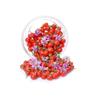 Tibet goji Karpuzu