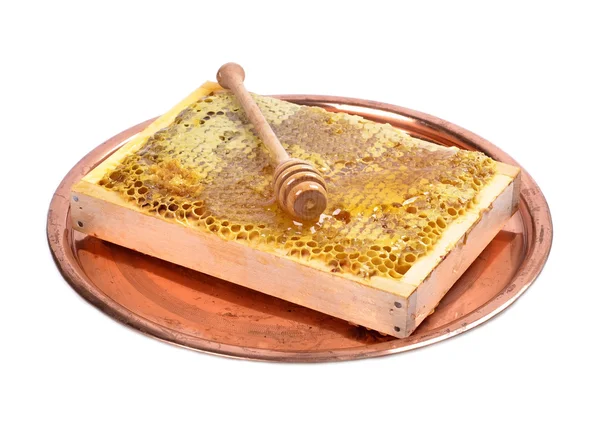 Panales de miel frescos —  Fotos de Stock