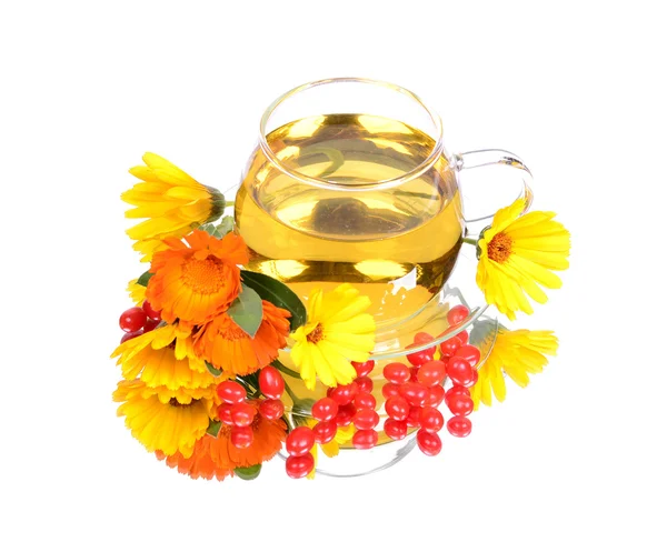 Xícara de chá com flores de calêndula — Fotografia de Stock