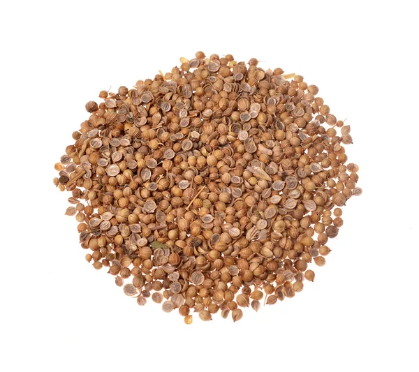 Coriander — Stock Photo, Image