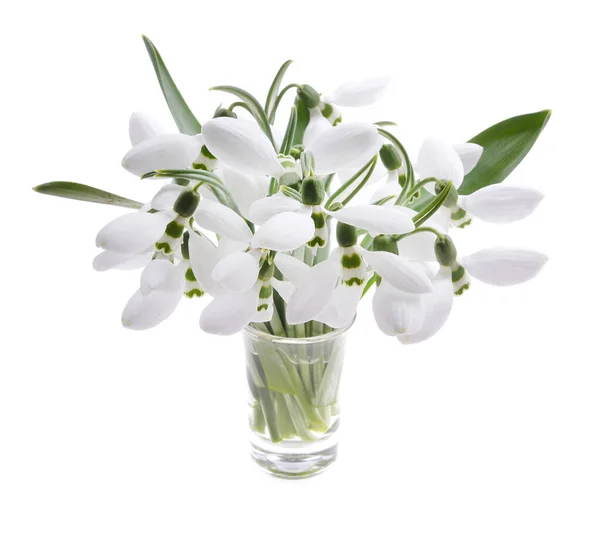Schöner Strauß Weißer Schneeglöckchen Mit Blütenblättern Auf Weißem Hintergrund — Stockfoto