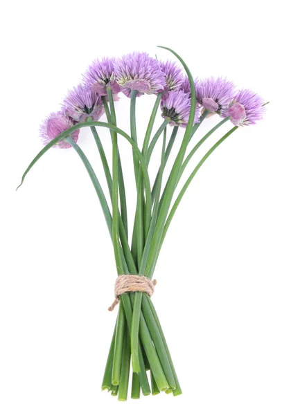 Bouquet Wild Onions Allium Schoenoprasum Isolated White Background Concept Healthy —  Fotos de Stock