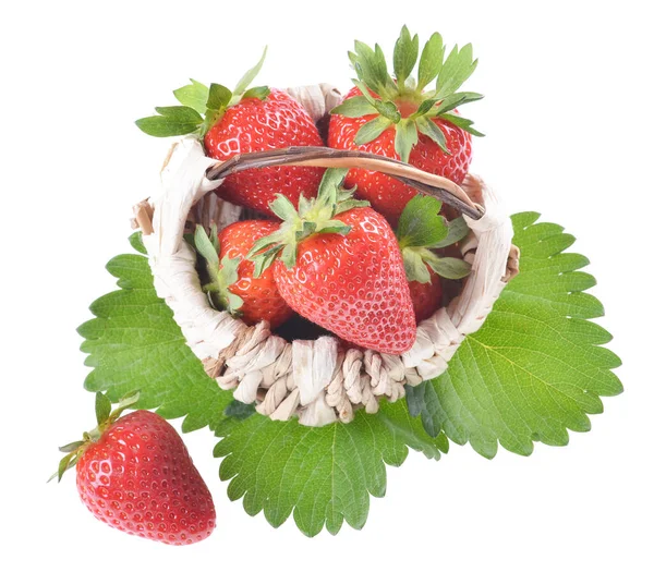 新鲜的草莓 在绿叶上的篮子里 白色的孤立的背景 — 图库照片