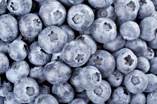 Fresh Ripe Blueberries Vaccinium Myrtillus Close Background — Fotografia de Stock