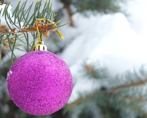 Árbol de abeto nevado y decoración — Foto de Stock