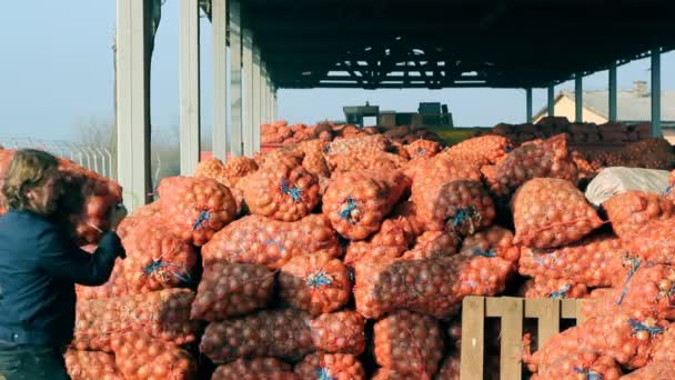 Przechowywania cebuli — Wideo stockowe