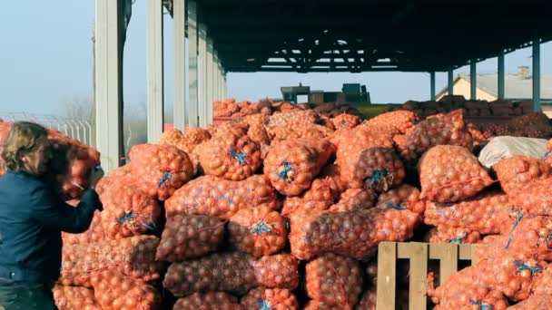 Armazenagem de cebola — Vídeo de Stock