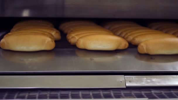 Производство свежего хлеба — стоковое видео
