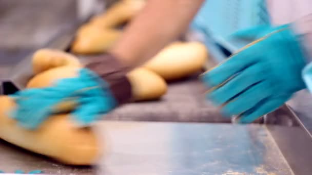 Embalaje de pan fresco — Vídeos de Stock