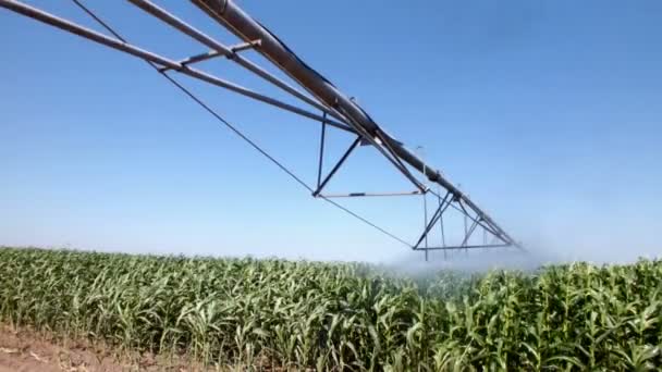 Irrigation system — Stock Video