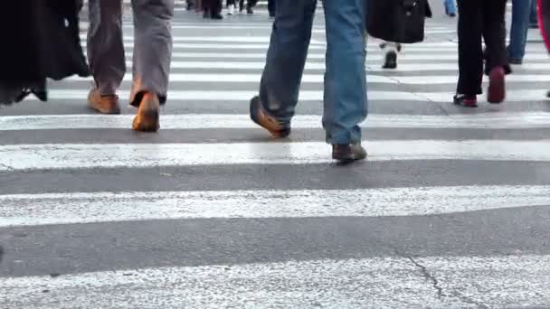 Pedestrian crossing — Stock Video