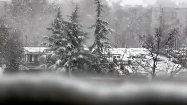 Snow blizzard — Stockvideo