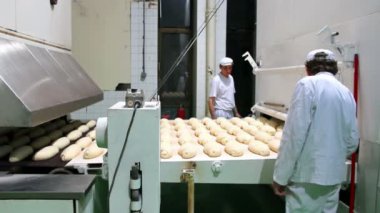 ekmek üretim hattı