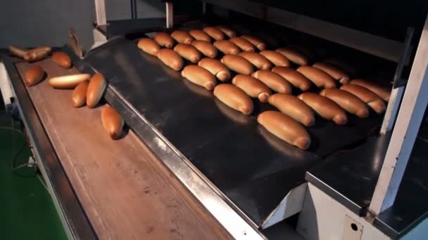 Gouden gebakken brood — Stockvideo