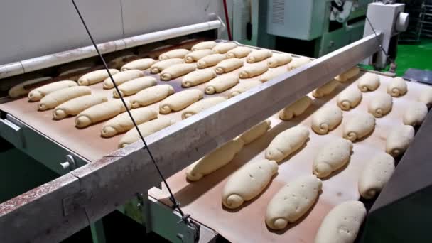 大面包的面团 — 图库视频影像