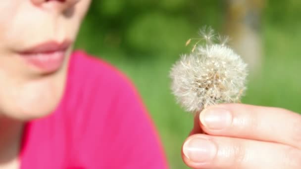 Woman blowing Dandelion seeds — Stock Video