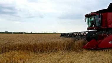 Biçerdöver buğday