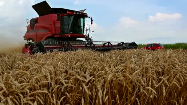 Máquinas de colheita — Vídeo de Stock