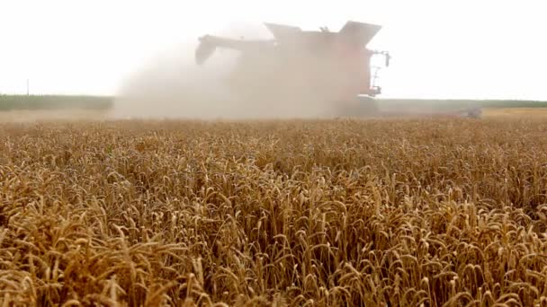 Combinar en una nube de polvo — Vídeo de stock