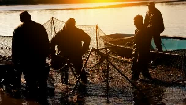 Pescadores ao pôr do sol — Vídeo de Stock