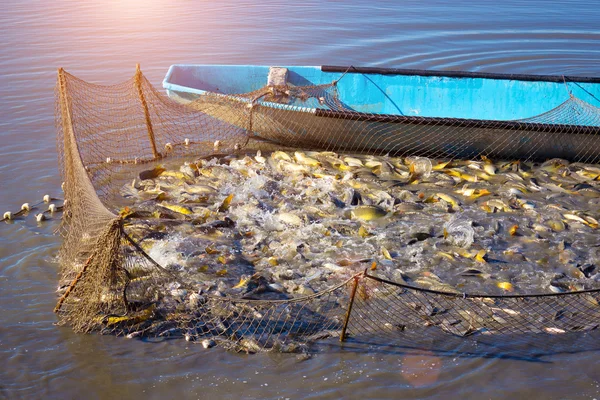 Рибальські тенета — стокове фото